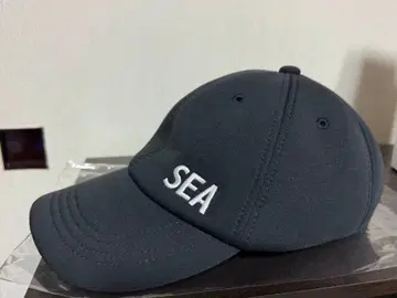 WIND AND SEA 윈드앤씨 로고 자수 캡