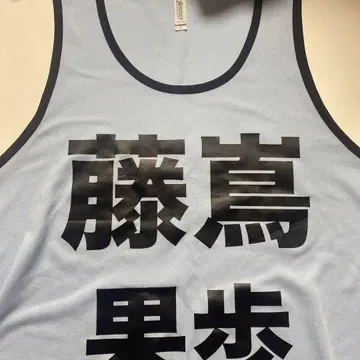 후지시마 카호 비브스
