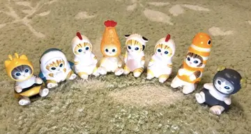 상어냥 동물 코스튬 8종 세트