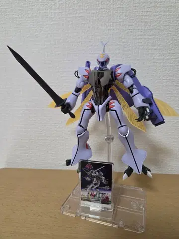 HG 단바인 & 덤 포함