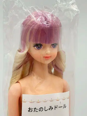 타마키 리카짱 캐슬 오타노시미 인형 연핑크 계열 제니 프렌드