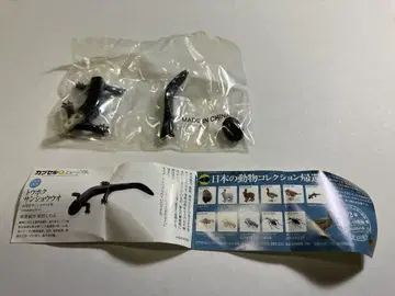 도마뱀 피규어 캡슐 토이