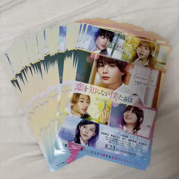 사랑을 모르는 우리들은 플라이어 114장 세트