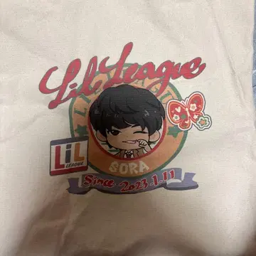 LILLEAGUE 난바 헤키쿠 테모치 백