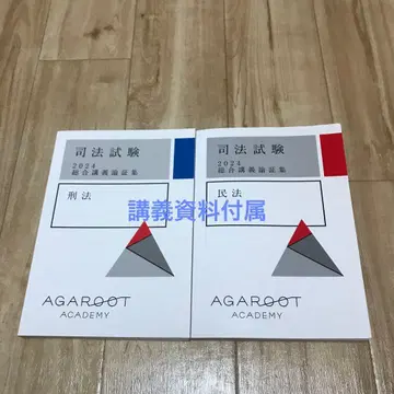사법시험 2024 종합강의 논증집 민법 형법