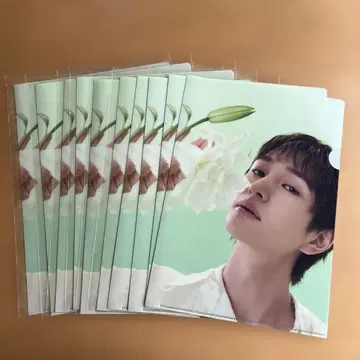 오뉴 ONEW SAKU 클리어 파일 동일 패턴 10장 세트