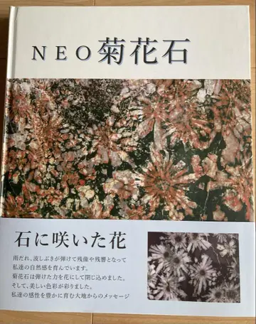 NEO 국화석