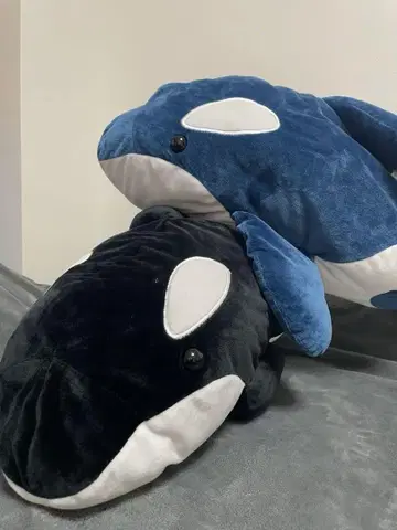 범고래 봉제 인형 세트 X2