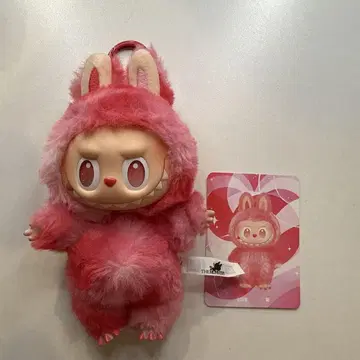 토끼 코스튬 봉제 인형 핑크 카드 포함