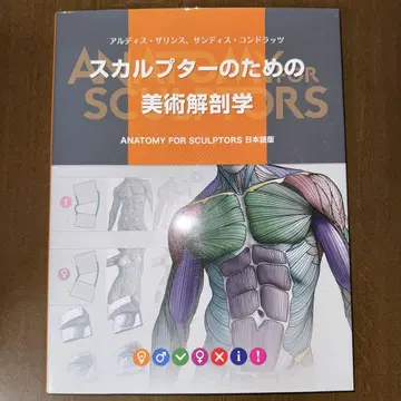 스컬프터를 위한 미술 해부학