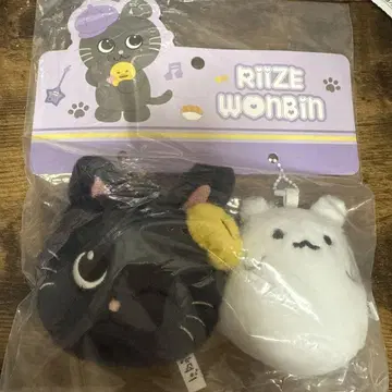 RIIZE 원빈 중국 상하이 팝업 키링