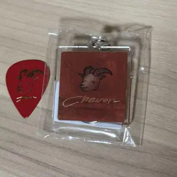Chevon 피크 키링 세트