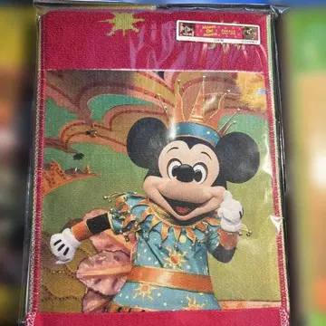 미니 오 미니 실사 타월 미키미니, 도날드, 구피, 칩과 데일