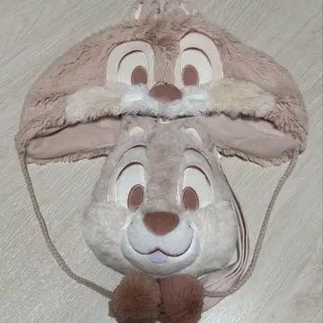 디즈니 팬캡 칩과 데일 파우치
