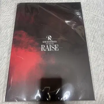 도모토 코이치 RAISE 팜플렛