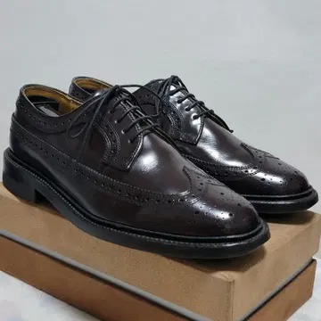 리갈 2589 브라운