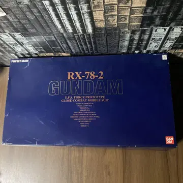 RX-78-2 GUNDAM PG 1/60 (좌절 방치)