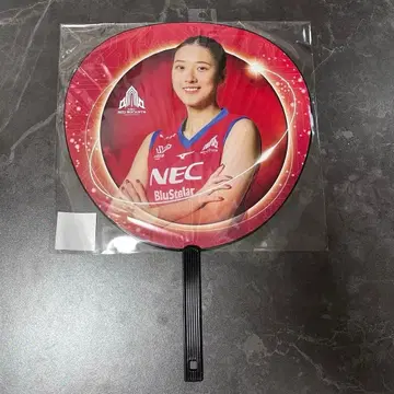 여자 배구 NEC 레드 로케츠 가와사키 사토 요시노 부채