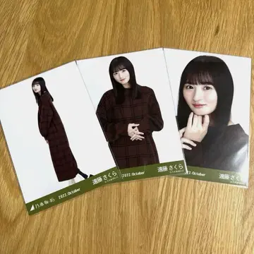 노기자카46 브로마이드 엔도 사쿠라 윈도우펜 체크 컴프