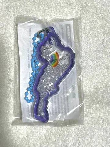 비와코 아크릴 키링 하코다테야마