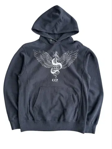 rame printed pullover hoodie