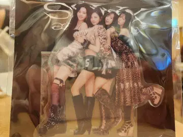 aespa 아리아케 아레나 한정판 아크릴 스탠드