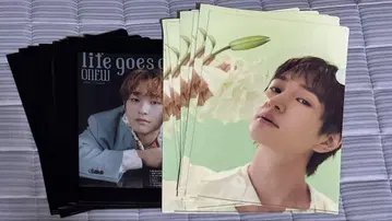 온유 SAKU Life goes on 클리어 파일 20장 세트 ONEW