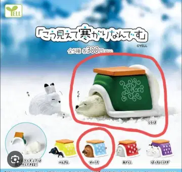 보기와 달리 추위를 많이 타요 북극곰 외 1점