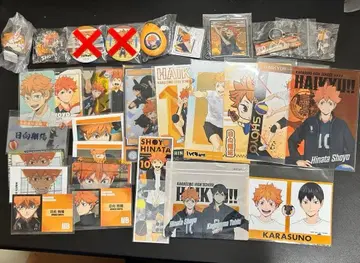 하이큐 히나타 쇼요 카라스노 고교 굿즈 세트