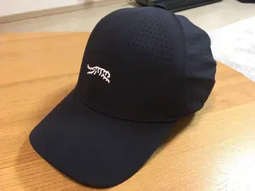 SUN DAY RED 타이거 우즈 네이비 캡 L/XL