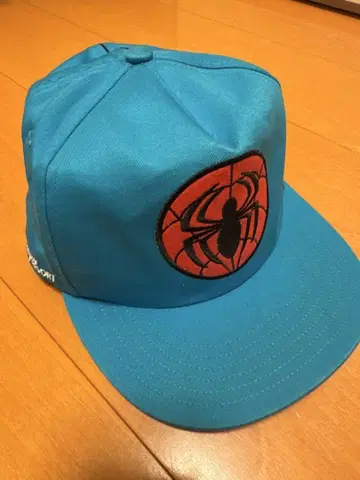 스파이더맨 캡 상하이 디즈니 리조트
