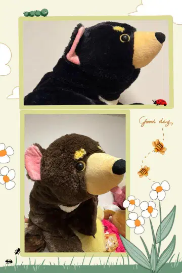 곰 봉제 인형 블랙과 브라운