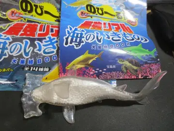 쭉쭉 늘어나는 최강 리얼 바다 생물 귀상어 레어! 상어