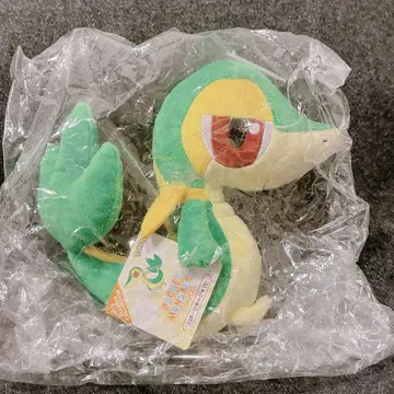 포켓몬 ALL STAR COLLECTION 두르래곤 (S) 봉제 인형