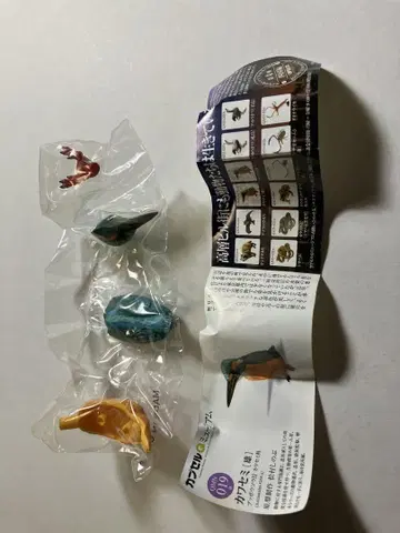 카와세미 카이요도