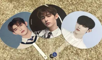 제베원 장하오 부채 세트
