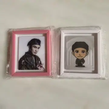 3대째 JSB KINGDOM 이와타 타카노리 프레임 마그넷 레어