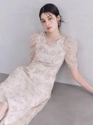릴리 브라운 튤 자수 드레스