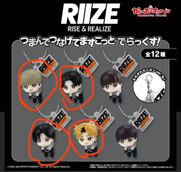 RIIZE 츠마데 츠나게테마스코토 디럭스! 원빈