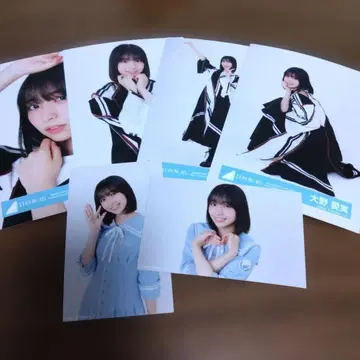 오노 마나미 사진 세트 6장 사카미치 시리즈