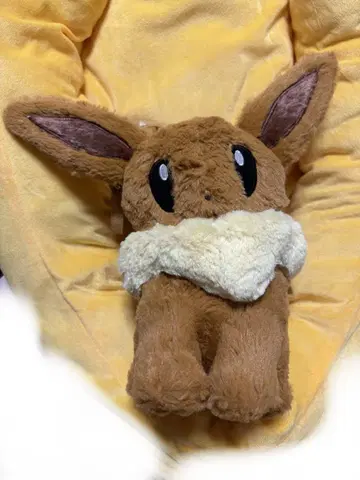 포켓몬 이브이 Eievui'sClosdet 봉제 인형 미니백