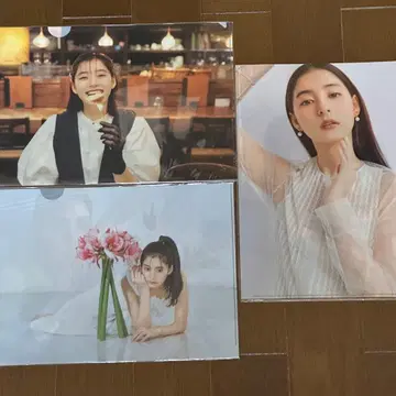 신키 유코 클리어 파일 세트 9장