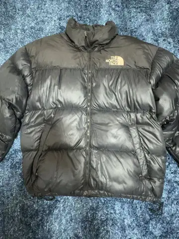 THE NORTH FACE 다운 자켓