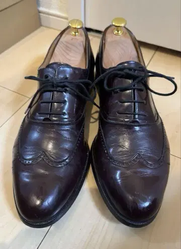 가죽 신발 윙팁 발리 이탈리아제 버건디