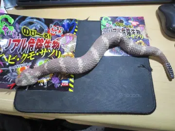 늘어나는 위험한 리얼 생물 방울뱀 독사 뱀