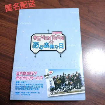 SEVENTEEN의 어느 멋진 날 DVD