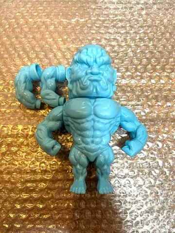 모코야마 니오 브라더 머슬 스카이블루 성형