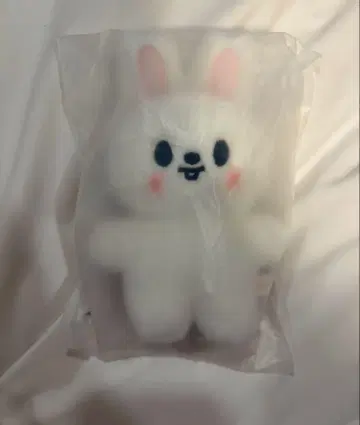 straykids 스키즈 본국 팝업 스탠딩 리비트