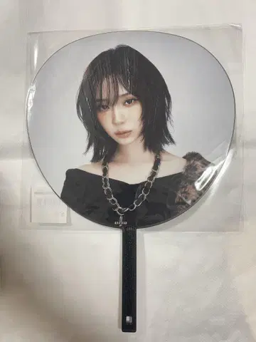 aespa 2025 LIVE TOUR 부채 윈터