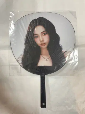 aespa 2025 LIVE TOUR 부채 카리나